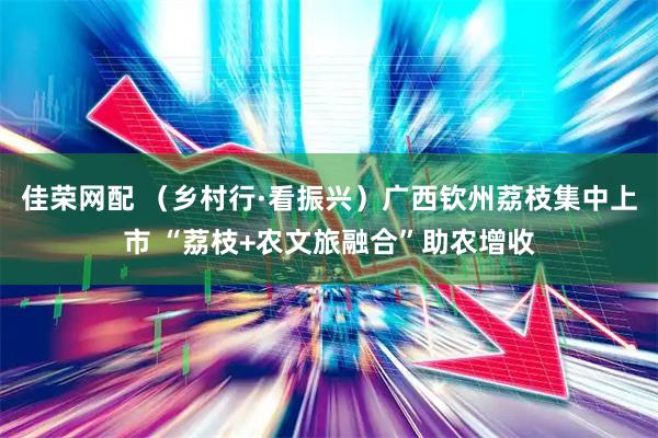 佳荣网配 （乡村行·看振兴）广西钦州荔枝集中上市 “荔枝+农文旅融合”助农增收