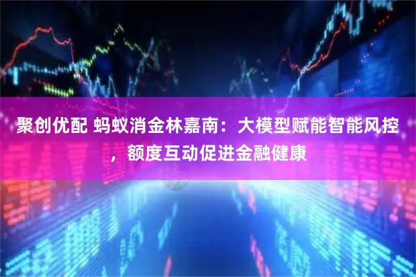 聚创优配 蚂蚁消金林嘉南：大模型赋能智能风控，额度互动促进金融健康