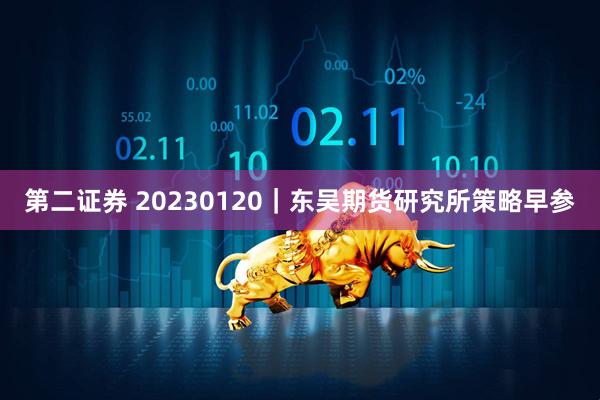 第二证券 20230120｜东吴期货研究所策略早参