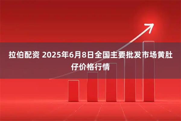 拉伯配资 2025年6月8日全国主要批发市场黄肚仔价格行情