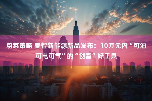 蔚莱策略 菱智新能源新品发布：10万元内“可油可电可气”的“创富”好工具