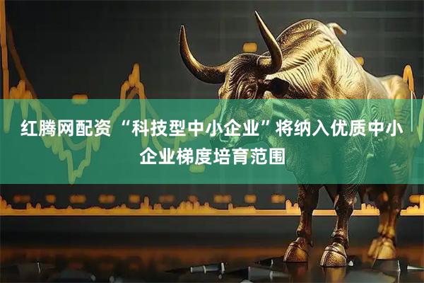 红腾网配资 “科技型中小企业”将纳入优质中小企业梯度培育范围