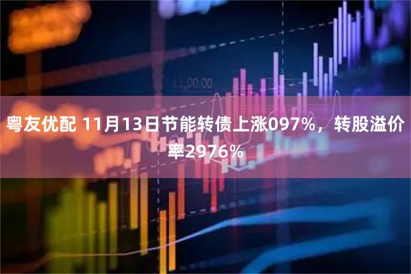 粤友优配 11月13日节能转债上涨097%，转股溢价率2976%